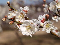 大高緑地公園にて　