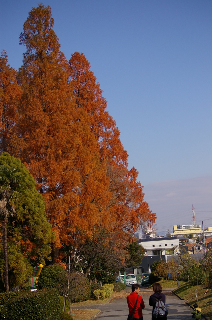 名古屋市農業センターにて