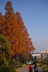 名古屋市農業センターにて