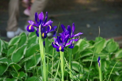 名古屋市農業センターにて　