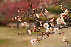 大高緑地公園にて　