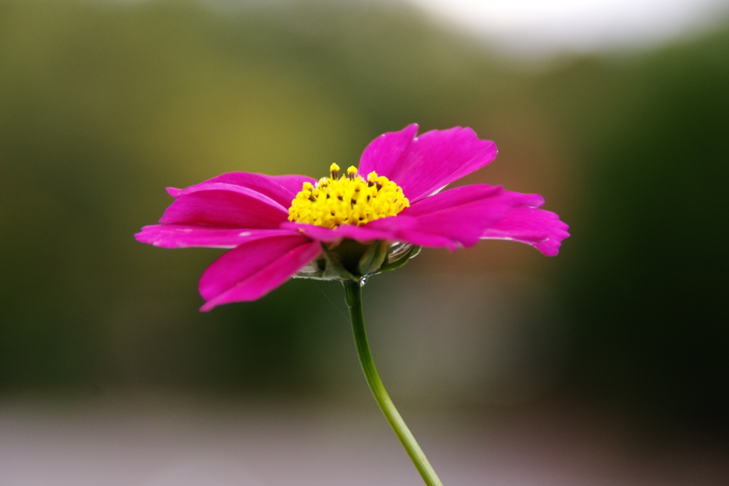 陽だまりの中で＾＾