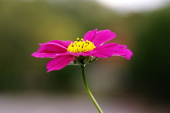 陽だまりの中で＾＾