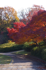 大高緑地公園にて