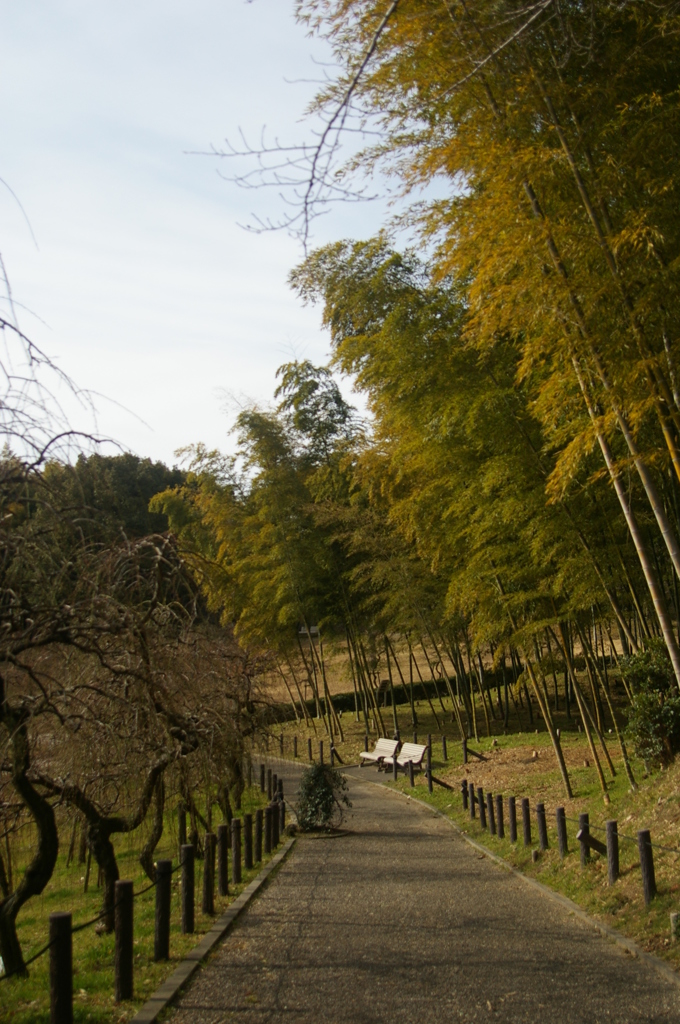 名古屋市農業センターにて