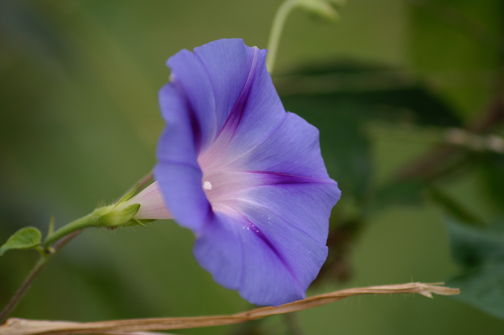 まだまだ元気です^^