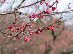 大高緑地公園にて