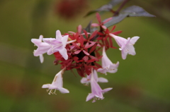 大高緑地公園にて