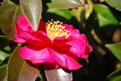 日射しの中で微笑んで