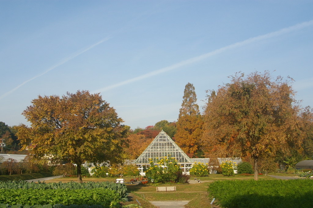 名古屋市農業センターにて