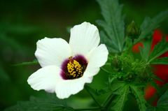 名古屋市農業センターにて　