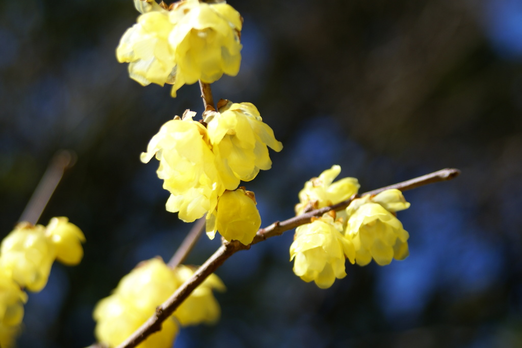 名古屋市農業センターにて