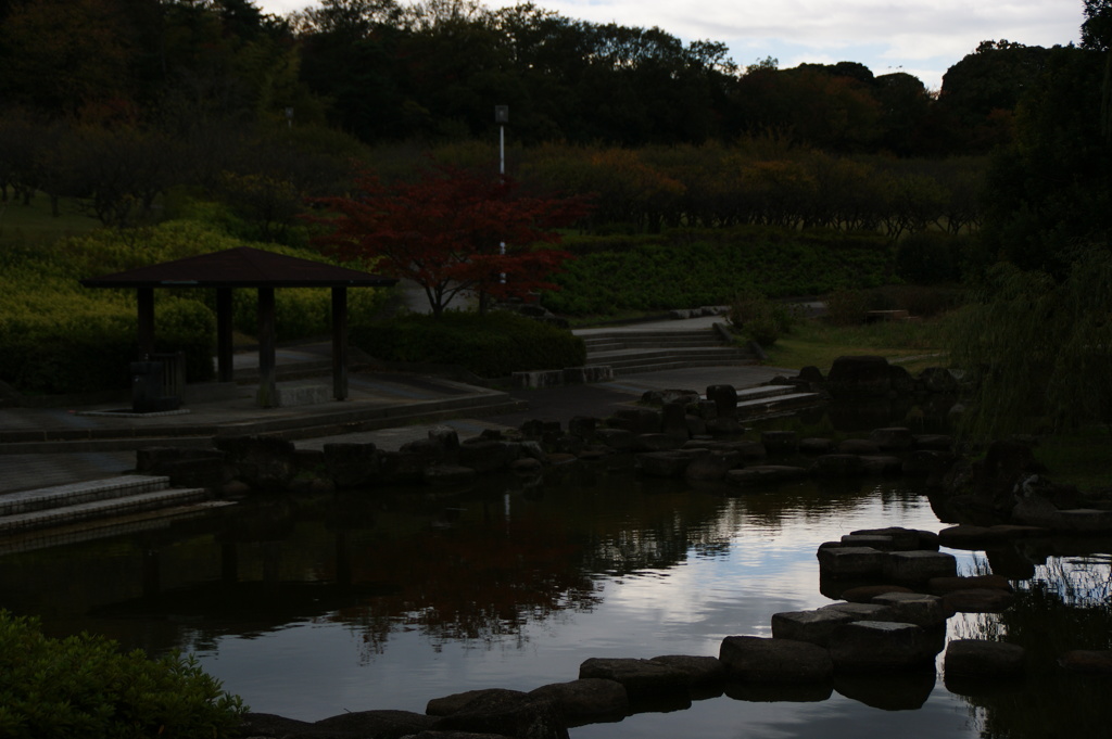 大高緑地公園にて