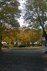 名古屋市農業センターにて