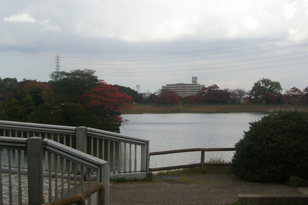 大高緑地公園にて