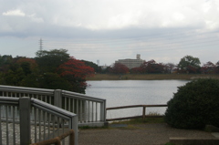 大高緑地公園にて