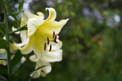 名古屋市農業センターにて　