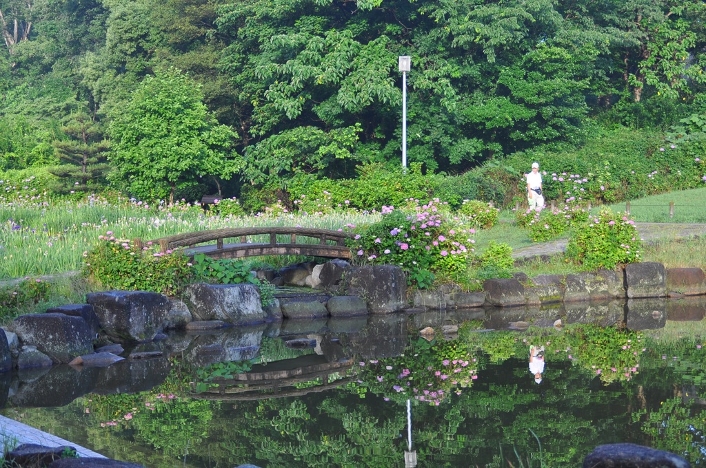 大高緑地公園にて