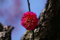 大高緑地公園にて