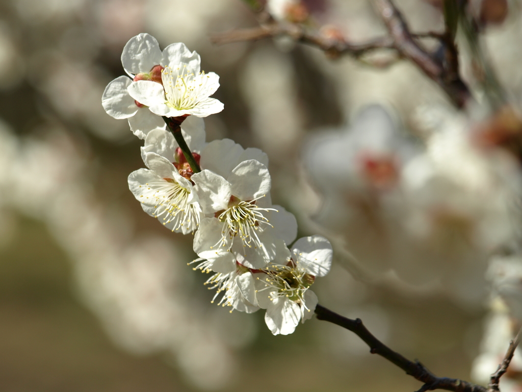 大高緑地公園にて　