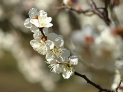 大高緑地公園にて　