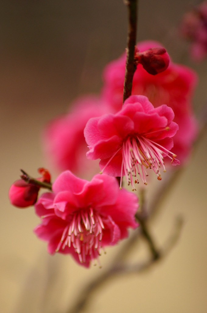 大高緑地公園にて