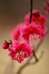 大高緑地公園にて