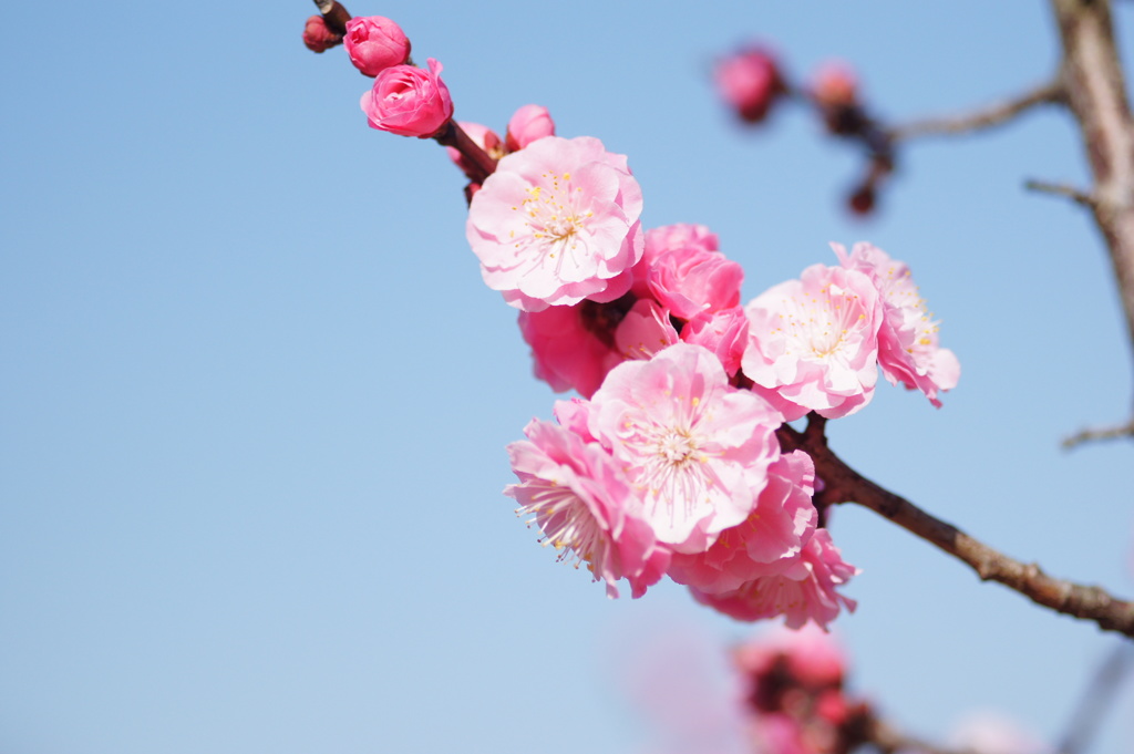 大高緑地公園にて　