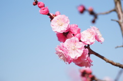 大高緑地公園にて　