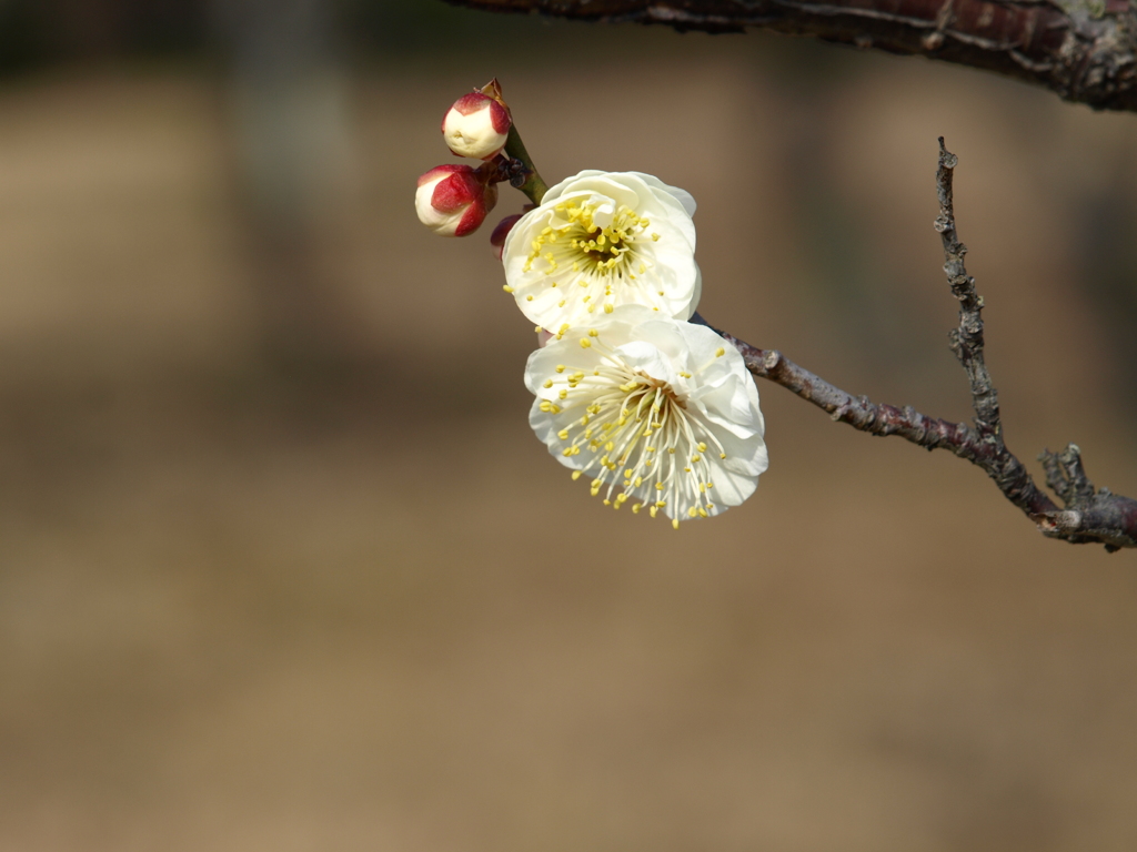 大高緑地公園にて