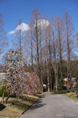 名古屋市農業センターにて
