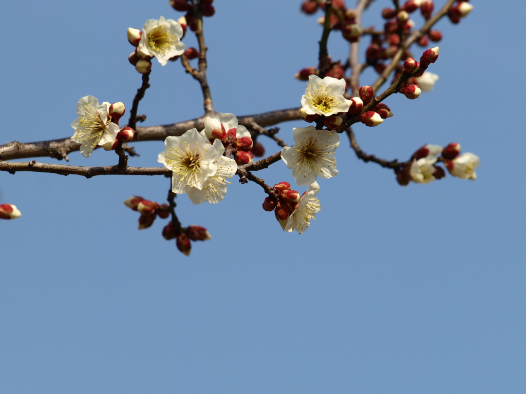 大高緑地公園にて