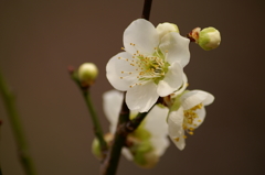 大高緑地公園にて　
