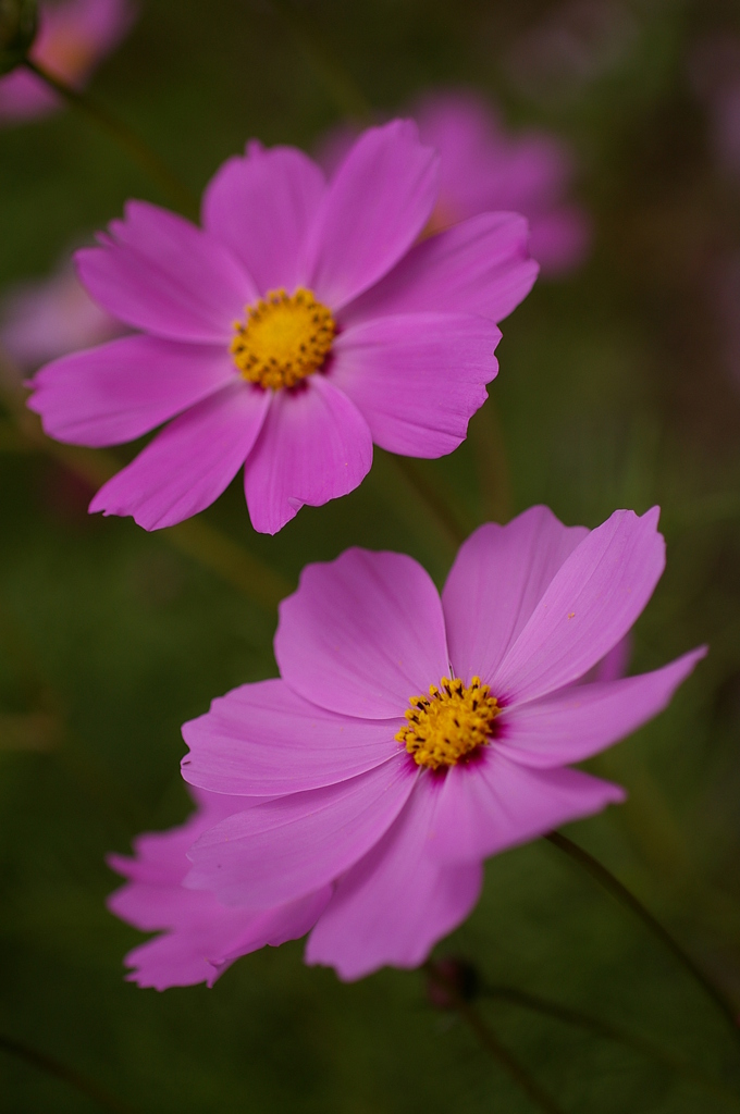 みどりが丘公園にて　