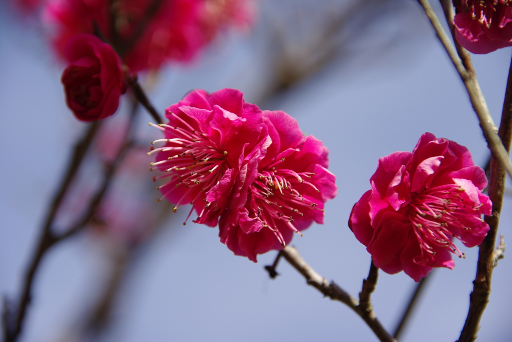 大高緑地公園にて　