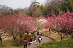 大高緑地公園にて　