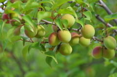 大高緑地公園にて　