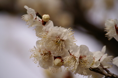 大高緑地公園にて　
