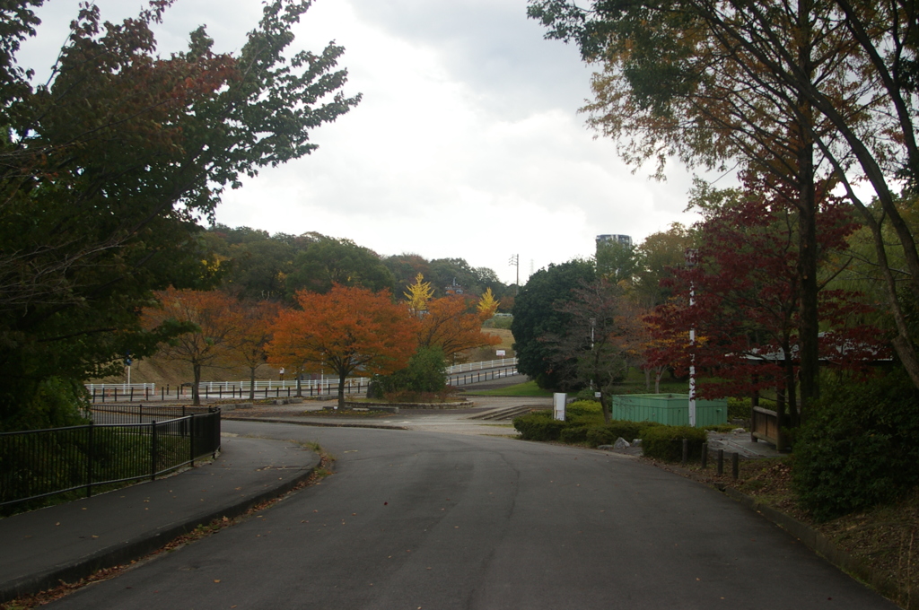 大高緑地公園にて