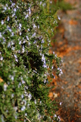 名古屋市農業センターにて