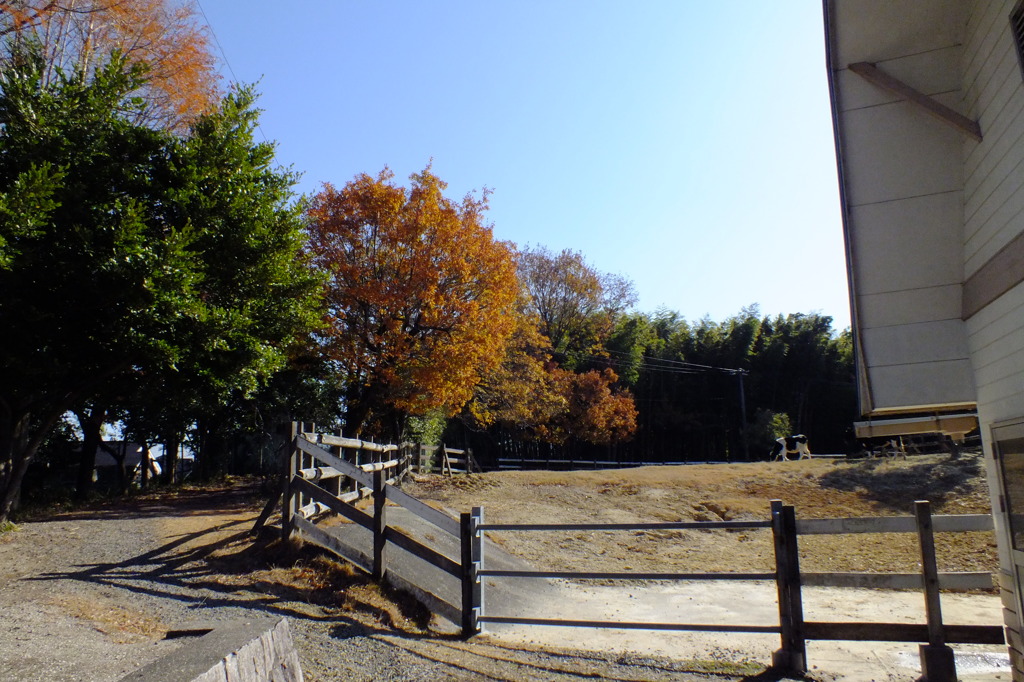 名古屋市農業センターにて　