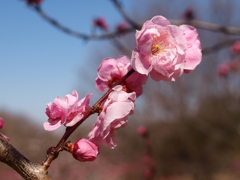 大高緑地公園にて　