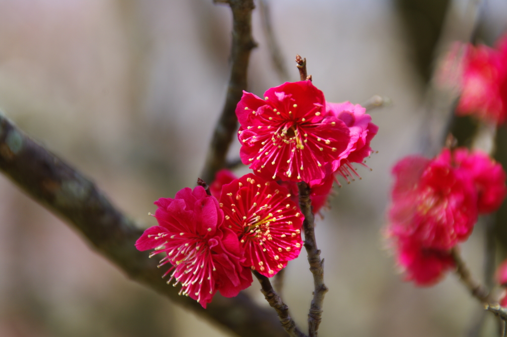 大高緑地公園にて　