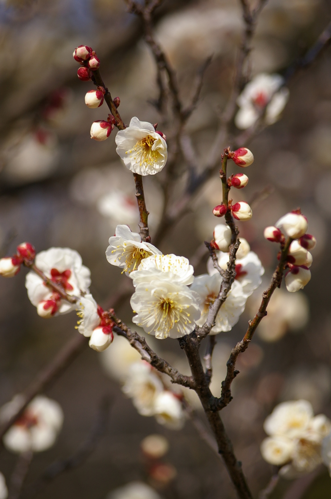 大高緑地公園にて