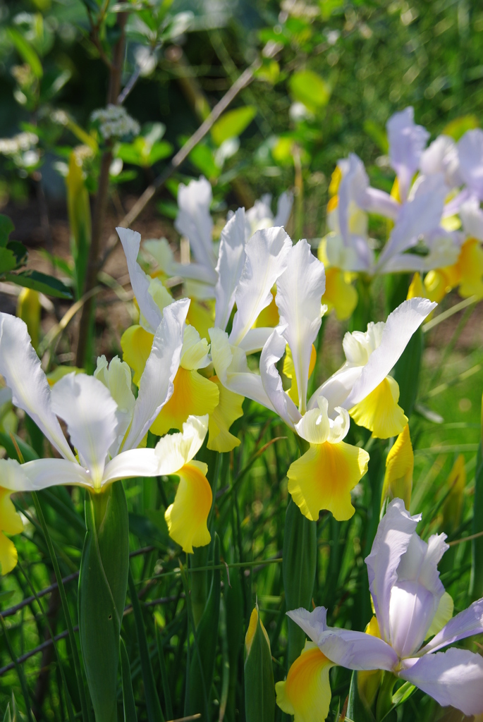 名古屋市農業センターにて　