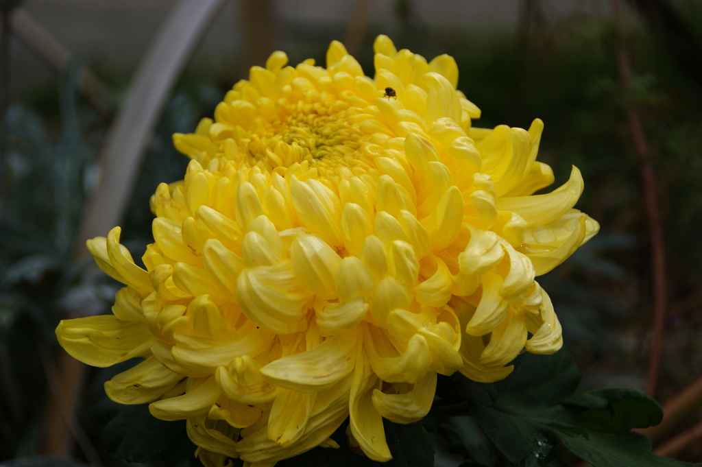 大高緑地公園にて