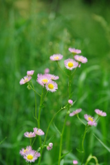 大高緑地公園にて　