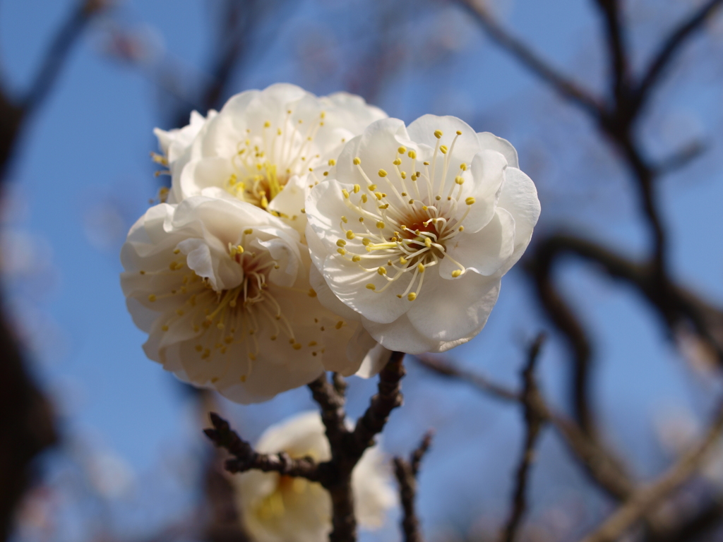 大高緑地公園にて