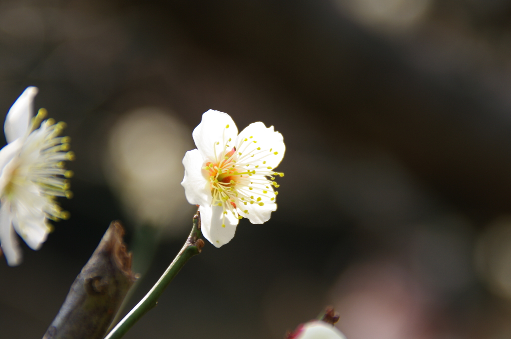 大高緑地公園にて　