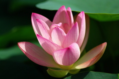 名古屋市農業センターにて　